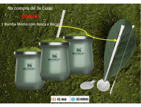 Jogo de 3x Cuias Térmica Verde Classic 230ml - Stanley